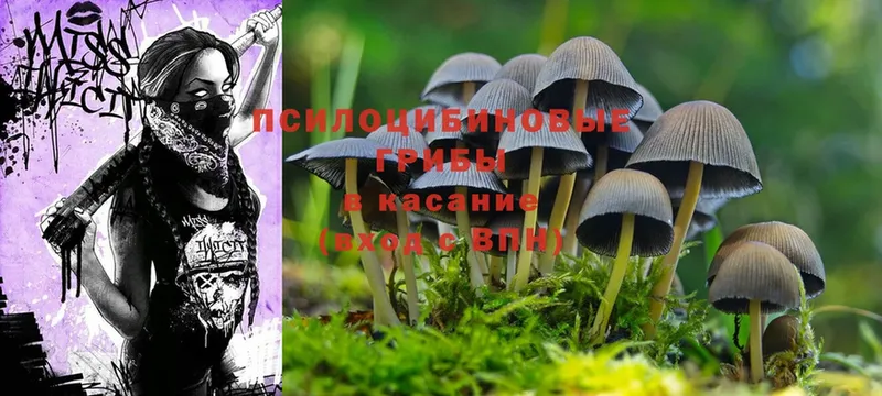 Галлюциногенные грибы Cubensis  где купить наркоту  Заинск 